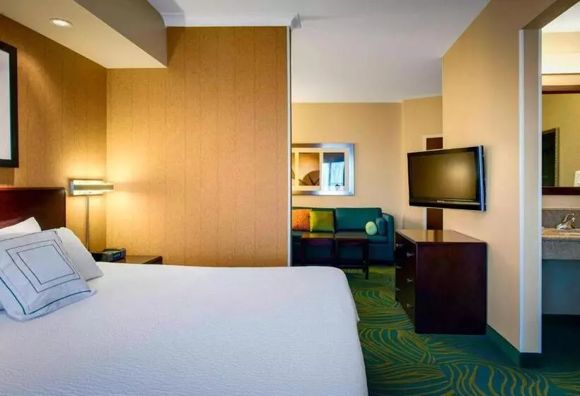 キングサイドベッドのスタンダードワンルーム, Springhill Suites By Marriott Omaha East, Council Bluffs, Ia