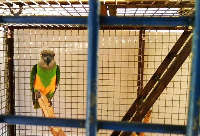 غرفة قياسية, Ideal Pansiyon