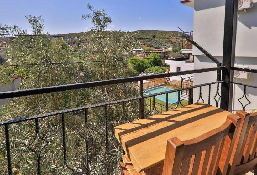 اتاق سوپریور, St. Nicholas Pension