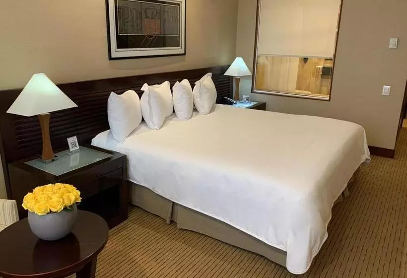اتاق استاندارد با تخت بزرگ, Eurobuilding Hotel & Suites Guayana