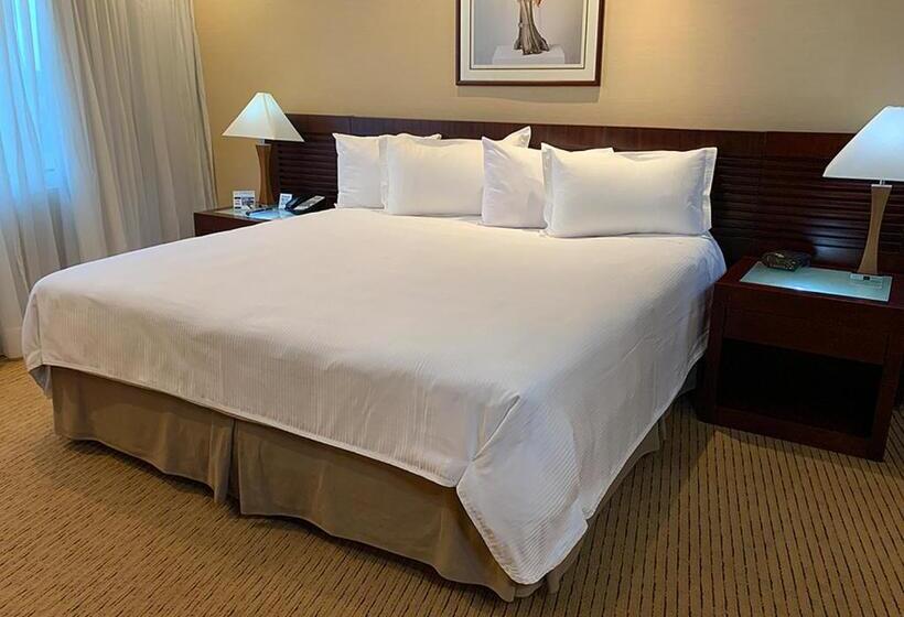 اتاق استاندارد با تخت بزرگ, Eurobuilding Hotel & Suites Guayana