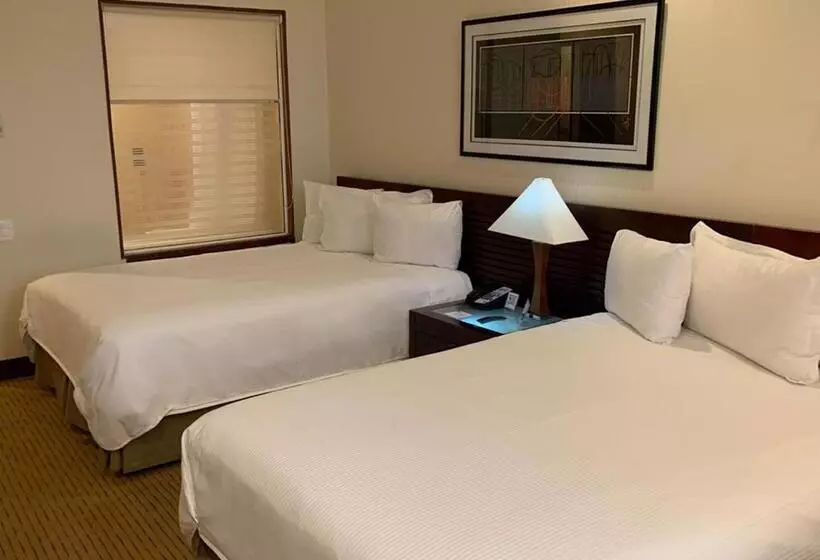 اتاق استاندارد, Eurobuilding Hotel & Suites Guayana