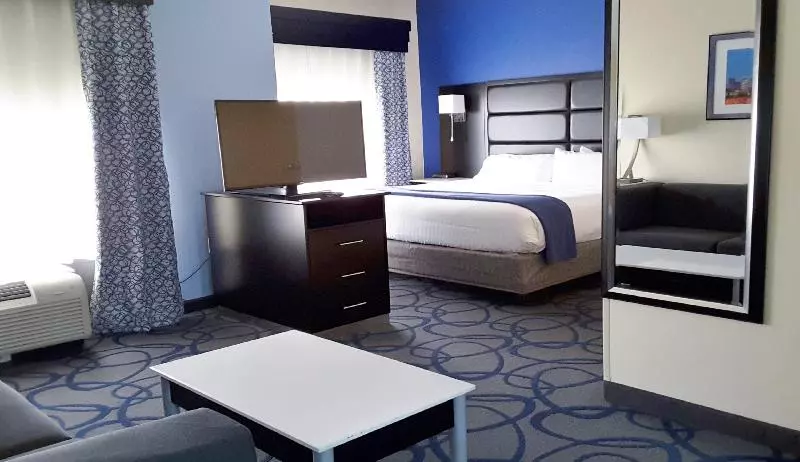 キングサイズベッドのスイートルーム, Holiday Inn Express Hotel & Suites Lawrenceville, An Ihg