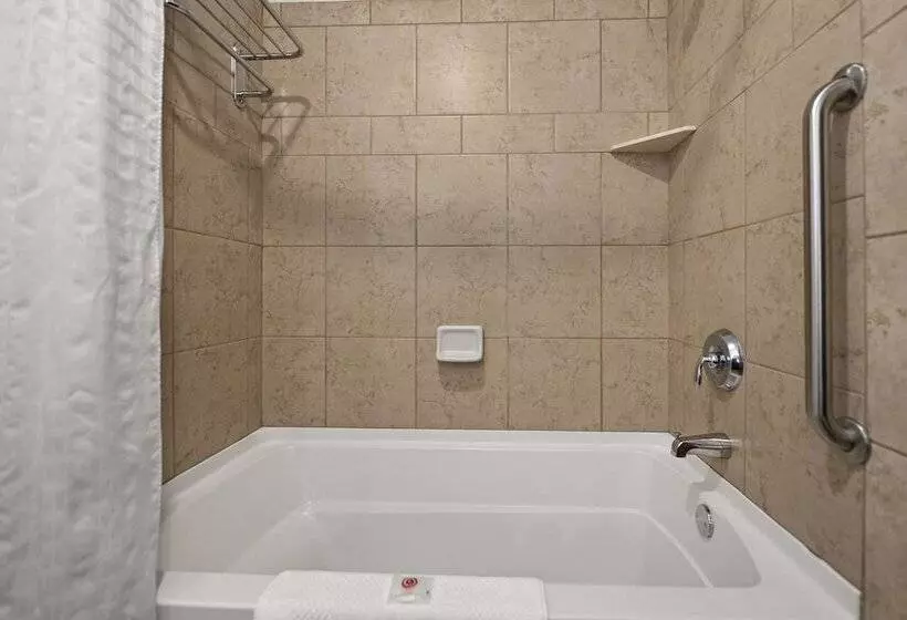 スイート, Comfort Suites Hudson I94