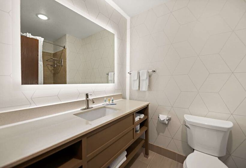 جناح, Comfort Suites Hudson I94