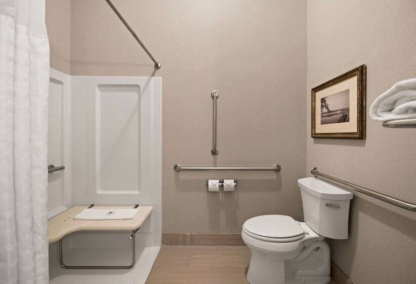 جناح لذوى الاحتياجات الخاصة, Comfort Suites Hudson I94