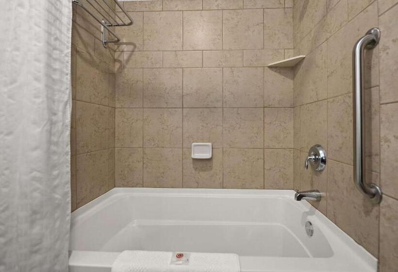 带大床的套房, Comfort Suites Hudson I94