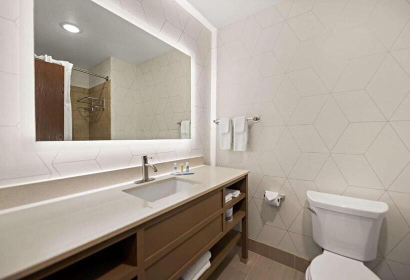 جناح سرير كينج, Comfort Suites Hudson I94