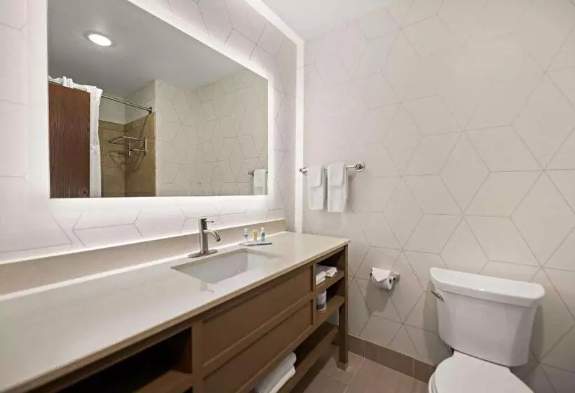 キングサイズベッドのスイートルーム, Comfort Suites Hudson I94