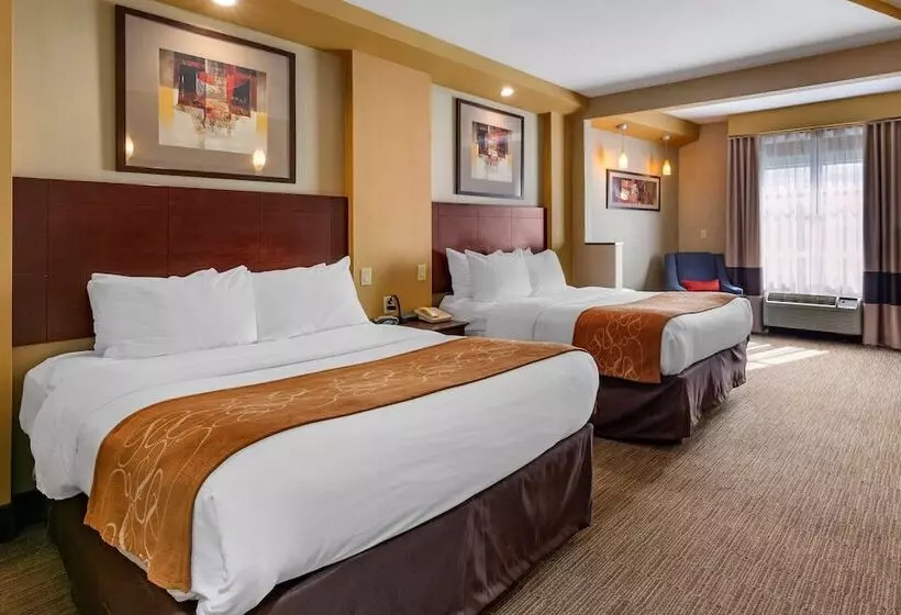 スイート, Comfort Suites Perrysburg  Toledo South