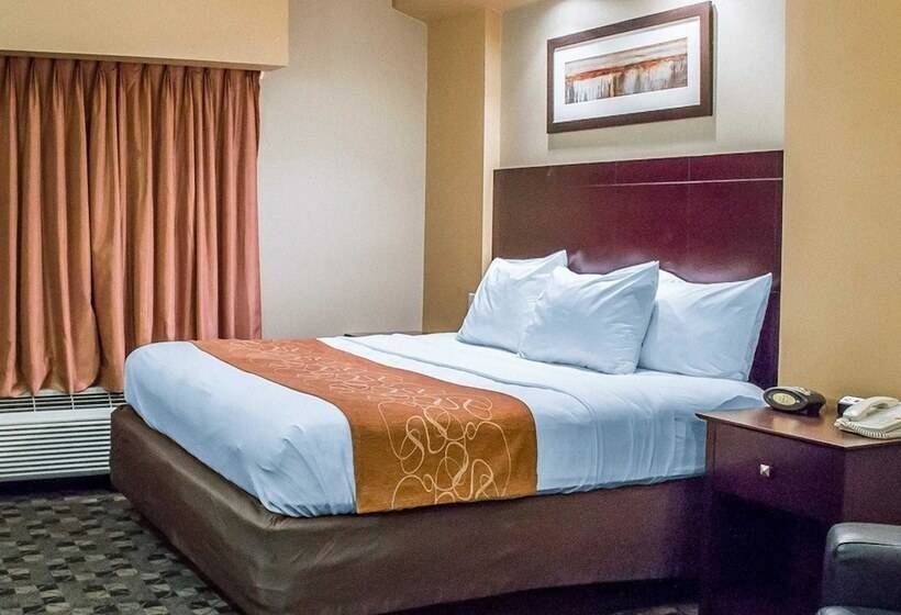 جناح, Comfort Suites Perrysburg  Toledo South