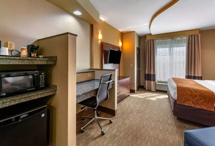 スイート, Comfort Suites Perrysburg  Toledo South