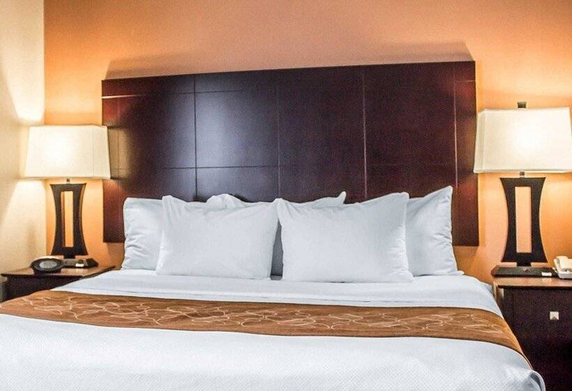 جناح, Comfort Suites Perrysburg  Toledo South