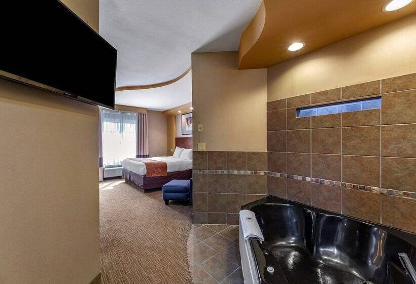 جناح, Comfort Suites Perrysburg  Toledo South