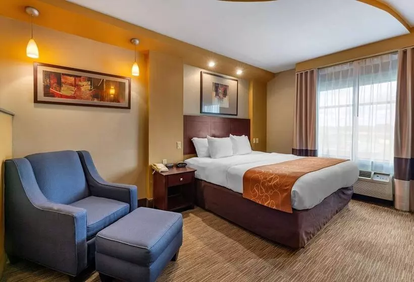 スイート, Comfort Suites Perrysburg  Toledo South