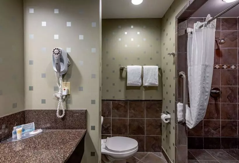 スイート, Comfort Suites Perrysburg  Toledo South