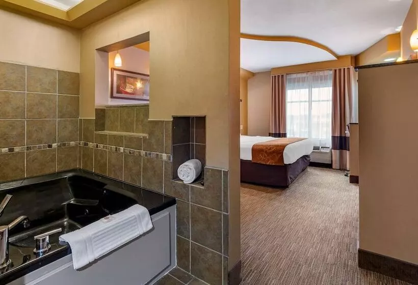 スイート, Comfort Suites Perrysburg  Toledo South