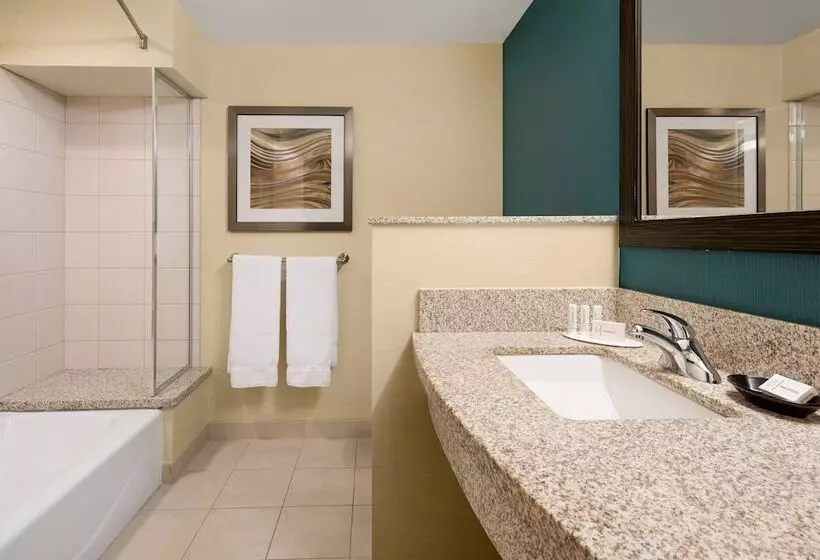 ダブルベッドスタンダードルーム, Courtyard By Marriott Glenwood Springs
