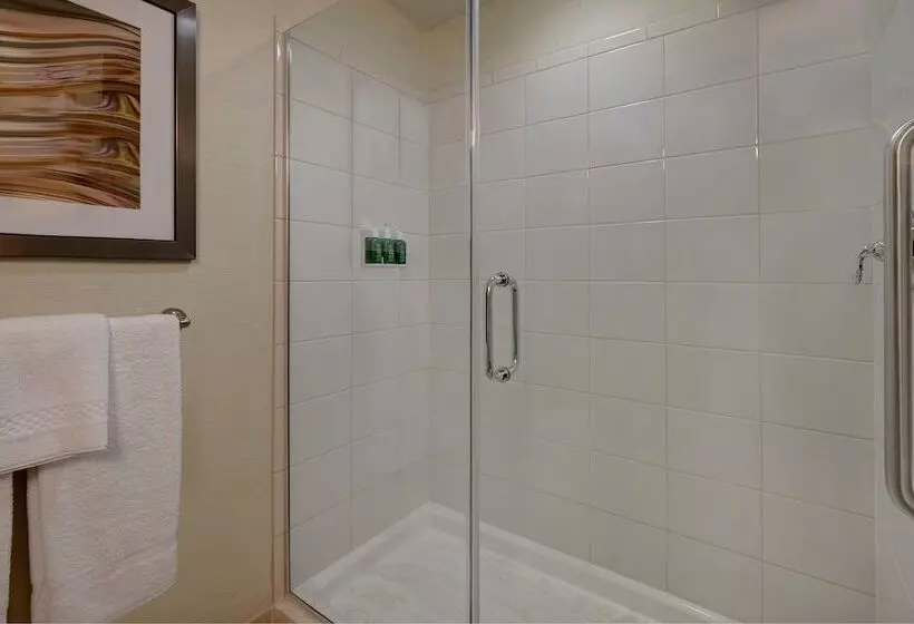 ２ダブルベッドのスタンダードルーム, Courtyard By Marriott Glenwood Springs