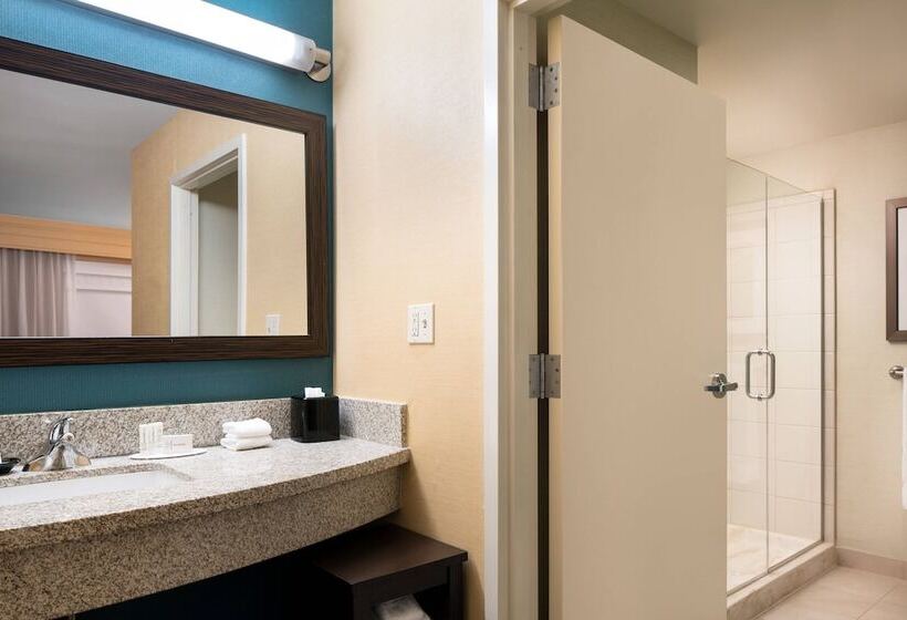 جناح مطلّ علي الجبل, Courtyard By Marriott Glenwood Springs