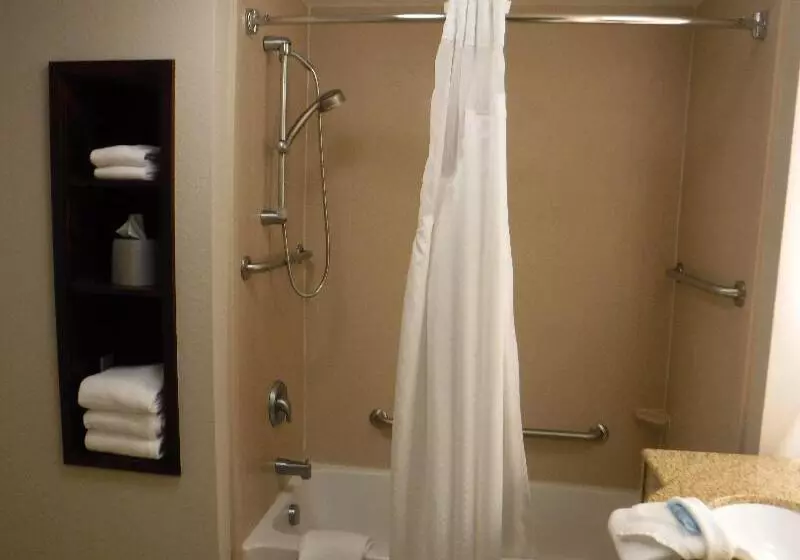 キングサイズベッドのスタンダードルーム, Holiday Inn Express West Jefferson, An Ihg