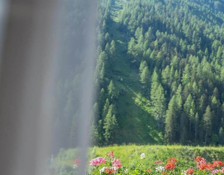 Номер Стандарт, Hôtel Cristal   Swiss Riders Lodge Grimentz