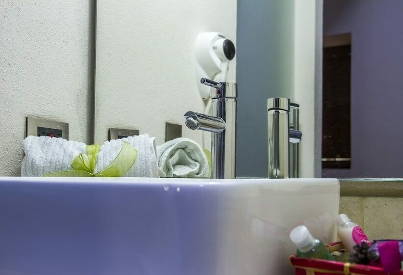 豪华房间, Monte Leon