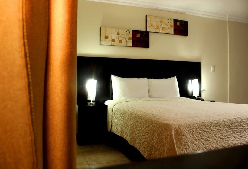 Номер Стандарт, Terranova