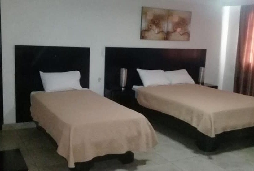 Номер Стандарт, Terranova