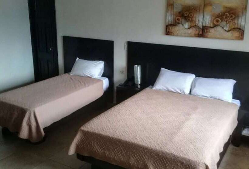 Номер Стандарт, Terranova