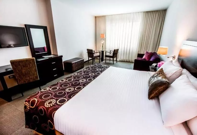 اتاق لوکس با تخت بزرگ, Lidotel Barquisimeto