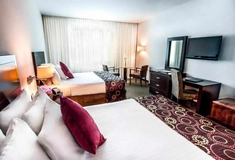 اتاق لوکس, Lidotel Barquisimeto
