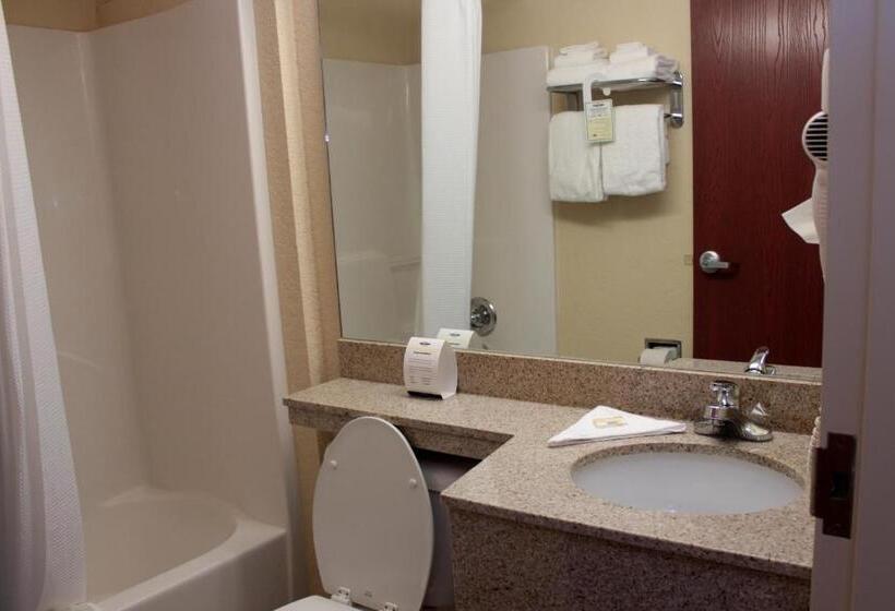 جناح, Microtel Inn & Suites By Wyndham Jasper