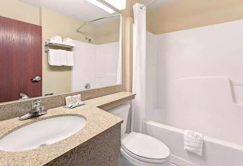スタンダードルーム, Microtel Inn & Suites By Wyndham Jasper