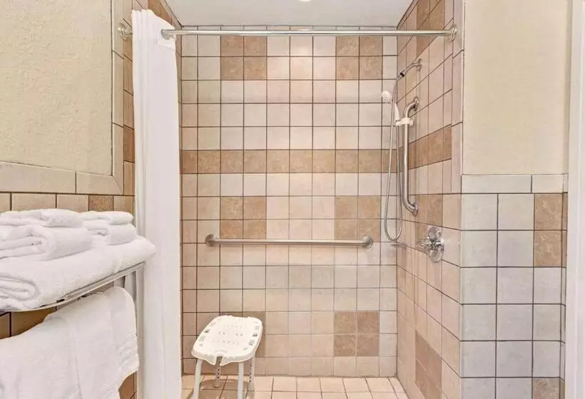 身障者適用スタンダードルーム, Microtel Inn & Suites By Wyndham Jasper