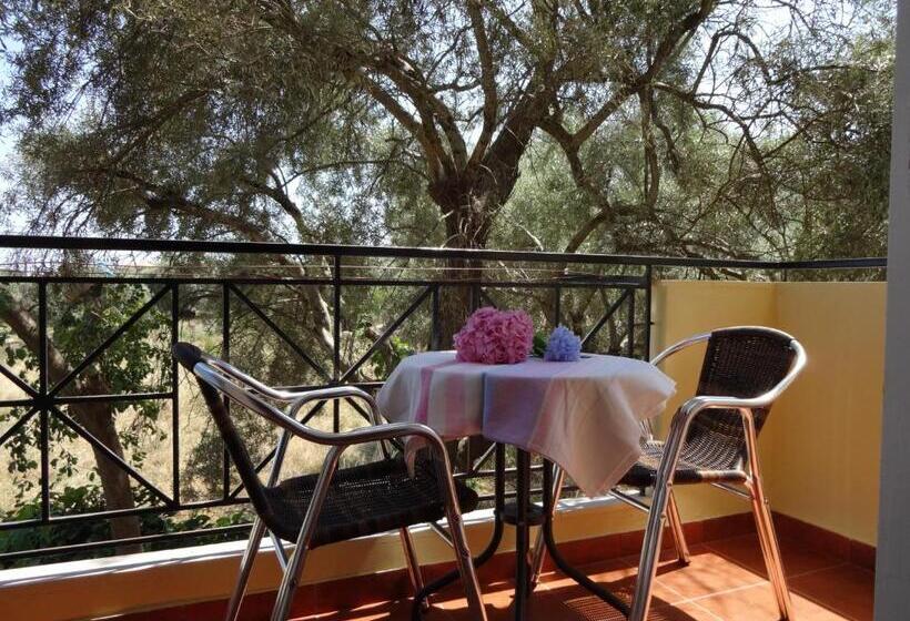 إستوديو قياسى, Pansion Filoxenia Apartments & Studios