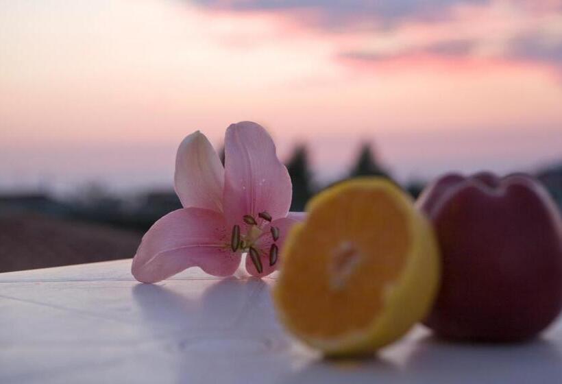 شقة غرفتين, Pansion Filoxenia Apartments & Studios