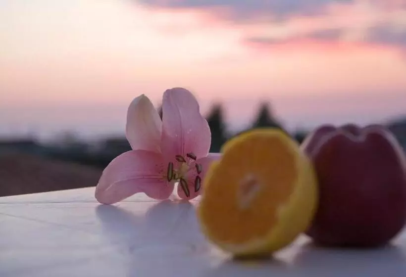 آپارتمان 2 خوابه, Pansion Filoxenia Apartments & Studios