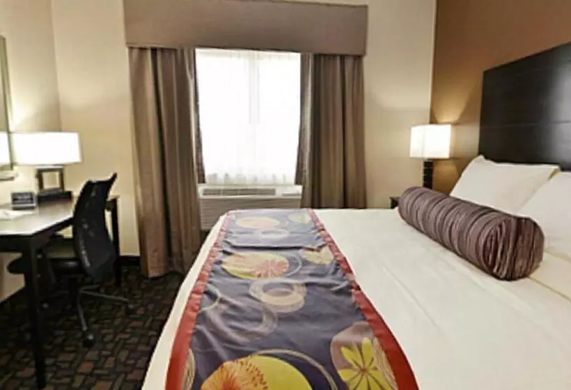 キングサイズベッドのスタンダードルーム, Best Western Plover Stevens Point Hotel & Conference Center