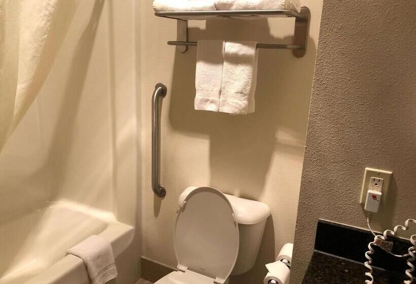 غرفة قياسية سرير كينج, Best Western Plover Stevens Point Hotel & Conference Center