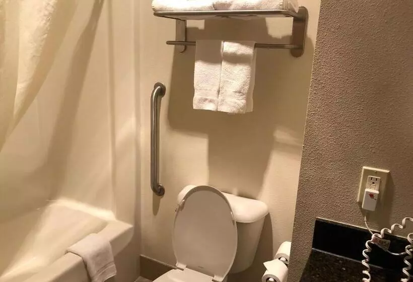 キングサイズベッドのスタンダードルーム, Best Western Plover Stevens Point Hotel & Conference Center