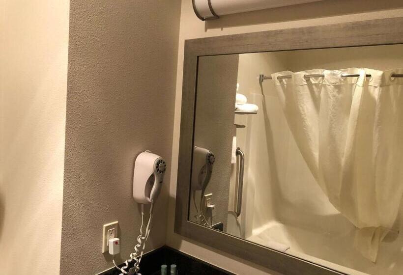 جناح مزود بجاكوزى, Best Western Plover Stevens Point Hotel & Conference Center