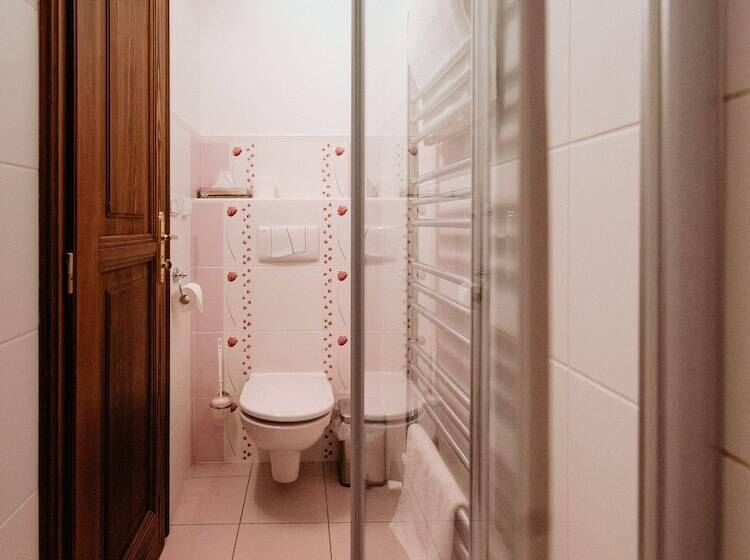 חדר סטנדרט יחיד, Boutique Hotel Romantick