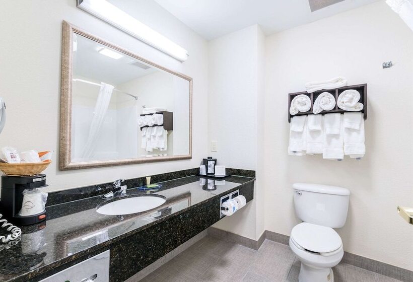 Люкс, Clarion Pointe Madisonhuntsville