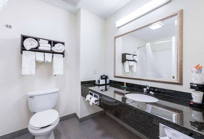 스위트, Clarion Pointe Madisonhuntsville