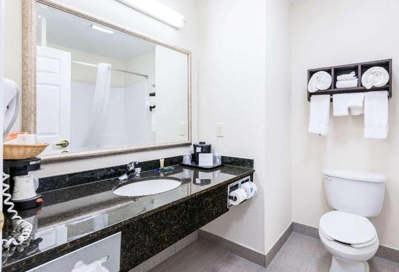 Люкс Кровать Кинг, Clarion Pointe Madisonhuntsville