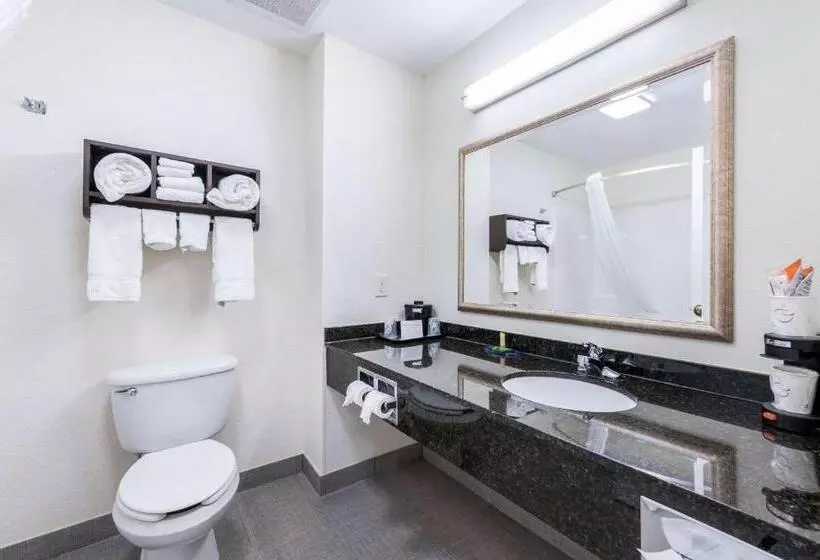 身障者適用キングサイズベッドルーム, Clarion Pointe Madisonhuntsville