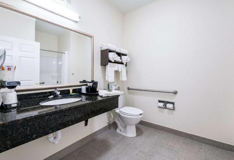 Номер Стандарт Кровать Кинг Адаптированный для Инвалидов, Clarion Pointe Madisonhuntsville