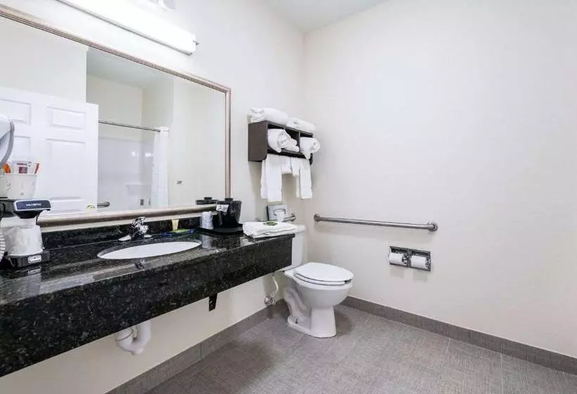 身障者適用キングサイズベッドルーム, Clarion Pointe Madisonhuntsville