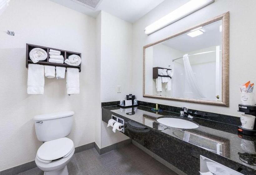 Номер Стандарт Адаптированный для Инвалидов, Clarion Pointe Madisonhuntsville